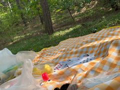 -北京西山国家森林公园