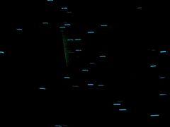 -怀托摩萤火虫洞