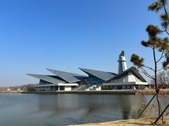 -盐城丹顶鹤湿地生态旅游区