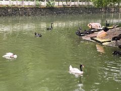 -黔灵山公园