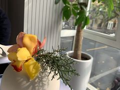 -蝶舍·MAISON PAPILLON