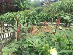 -贵阳市花溪国家城市湿地公园