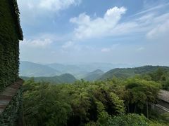 -莫干山风景区