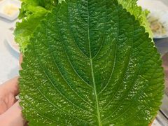 -名家韩国料理·烤肉(瑶海店)