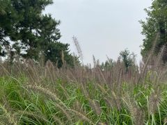 -汉长安城未央宫国家考古遗址公园