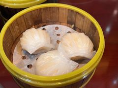 -东方早茶 海鲜•青岛菜(国信体育中心店)