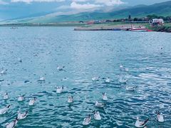 -青海湖国家重点风景名胜区