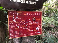 -呀诺达热带雨林