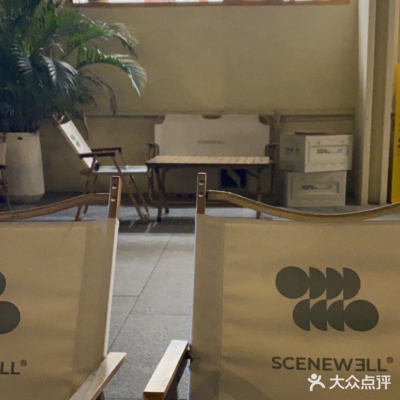 新都超线公园-椰汁炖🍐 暖和的冬季甜品