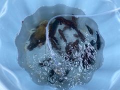 -小猫钓鱼海钓俱乐部(椰梦长廊店)