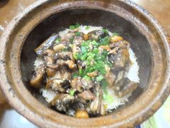 -红星光发煲仔饭(大石街店)
