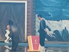 -西安曲江海洋极地公园