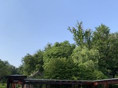 -南京国际会议大酒店