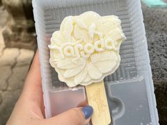 -呀诺达热带雨林