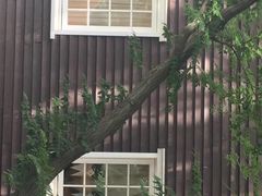 -三鹰之森吉卜力美术馆