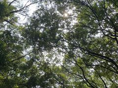 -广州市白云山风景名胜区