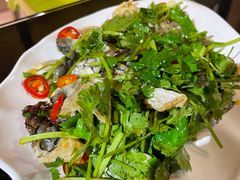 -草鱼先生潮州鱼生·虾生(新厦花园店)