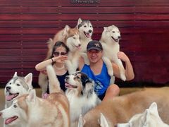 -TrueLove @ Neverland (Husky Cafe)