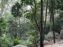 -火炉山森林公园