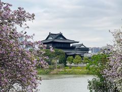 -海珠湖公园