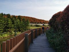 -迪茵湖田家舍生态农场