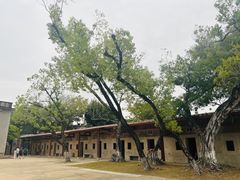 -胡里山炮台