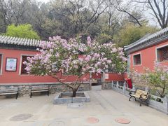 -潭柘寺景区