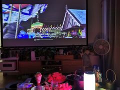 -BLACKSWAN黑天鹅(环球店)