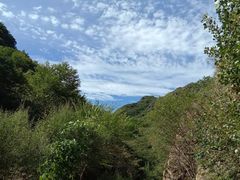 -雾灵西峰