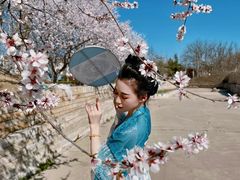 -天津东丽湖风景区