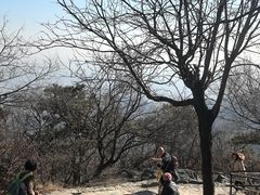 -那家小馆•北京菜•烤鸭(香山店)