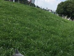 -不晚酒店(苏州观前平江路店)