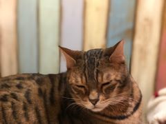 -小时光咖啡馆(开森度假森林店)