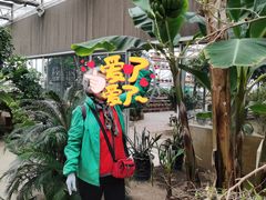 -陆地游轮吉林神农温泉