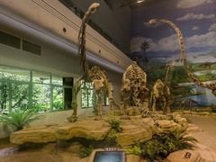 -自贡恐龙博物馆