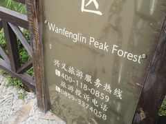 -黄利砖万峰林布依特色酸笋牛肉馆