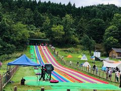 -武陵山森林公园