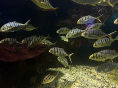 -多彩贵州城极地海洋世界