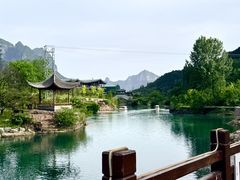 -王莽岭风景区