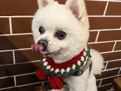-蓝记云吞(正果店)