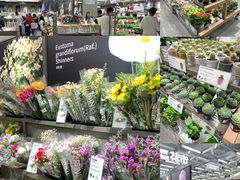 -鹿岛会员店(熙地港店)