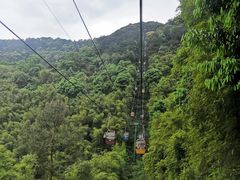 -缙云山景区