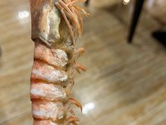 -铂丽斯国际大酒店-凯悦自助餐厅