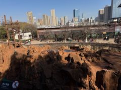 -昆明动物园