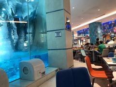 大堂-帝企鹅自助餐厅•儿童岛•真企鹅(长隆企鹅酒店)