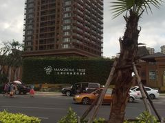 -三亚湾红树林度假世界(木棉酒店)