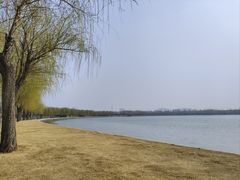 -象湖生态湿地公园