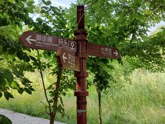 -微山湖红荷湿地景区