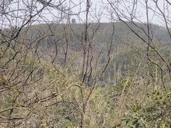 -梅岭月亮湾山体公园
