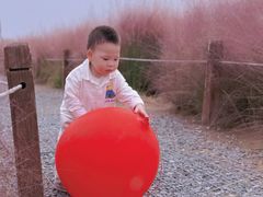 -汉长安城未央宫国家考古遗址公园